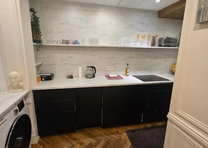 Standing - Champs Elysee Lejlighed Paris