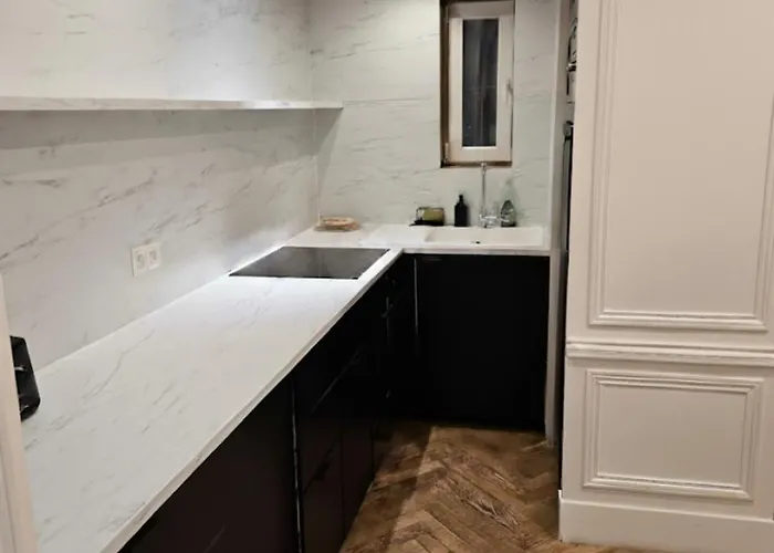 Standing - Champs Elysee Apartman Párizs